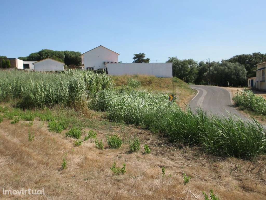 Terreno para construção em Casal do Rei - Rio Maior / Caldas da Rainha - Grande imagem: 2/16