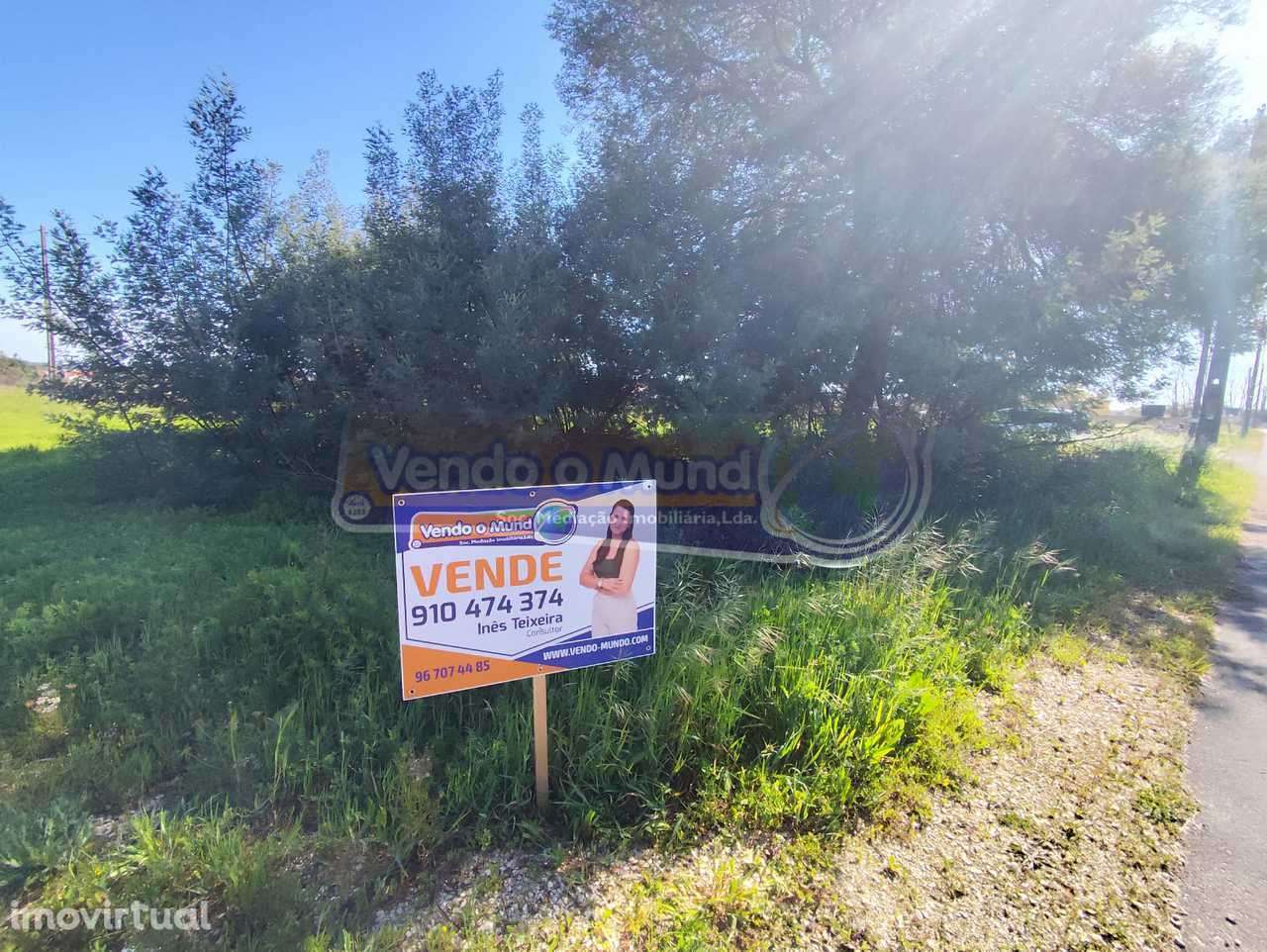 Terreno em Várzea Fresca -  Foros de Salvaterra (F833) - Grande imagem: 3/8