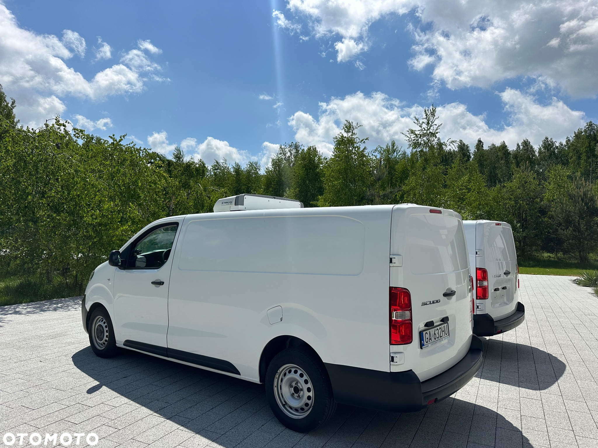 Peugeot Expert 2.0 diesel / chlodnia / mroznia / zanotti / long - 10