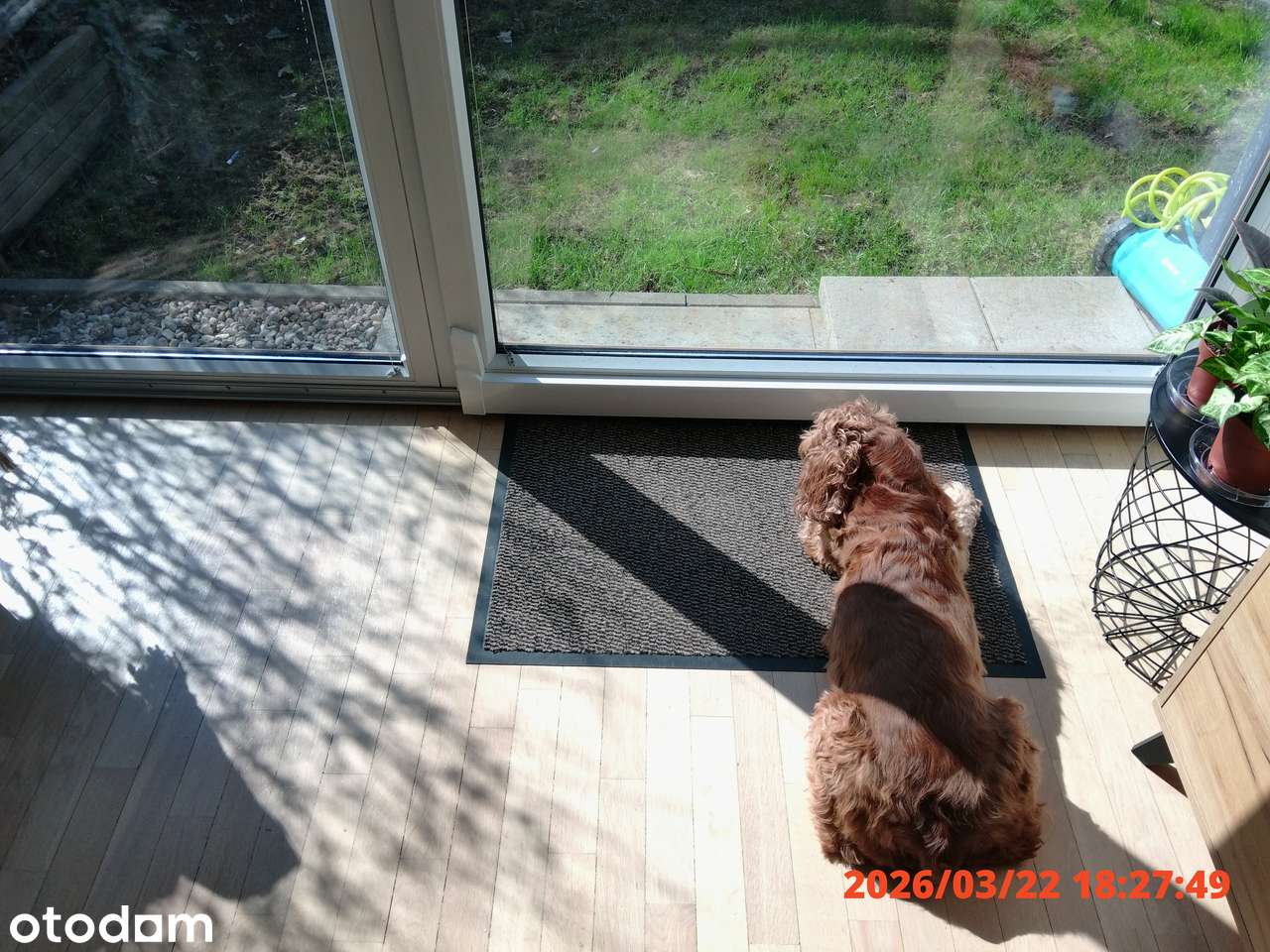 Mieszkanie 60 m² z ogródkiem | Wola | zwierzęta mile widziane