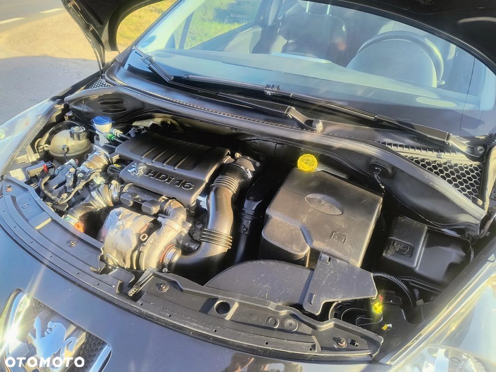 Peugeot 207 110 HDi FAP (Blue Lion) Platinum - 15