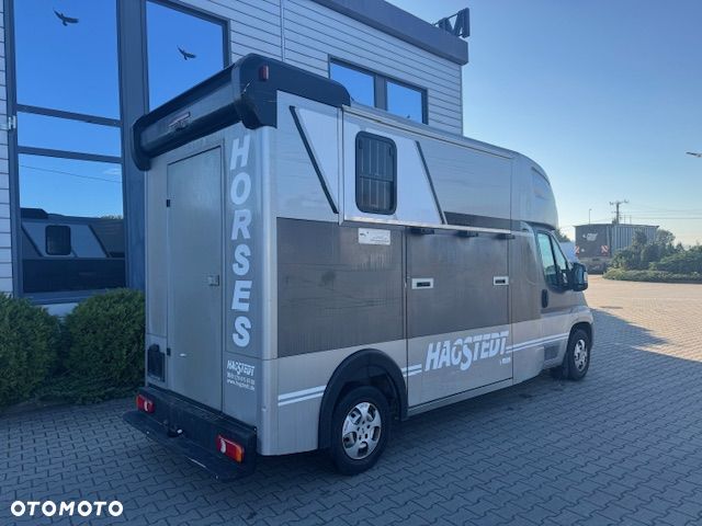 Peugeot BOXER 35, 2.0HDI / koniowóz Hagsted Horses - 2