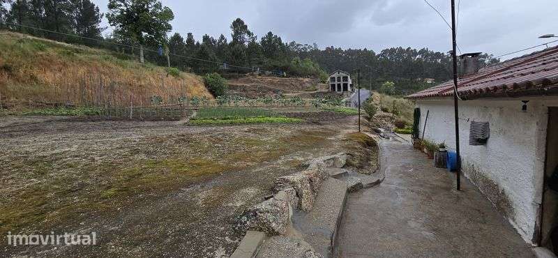 Quinta com 2 casas, tem 10 hectares de terreno - Grande imagem: 4/8