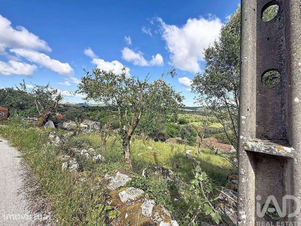 Terreno em Arrimal e Mendiga - Grande imagem: 2/20