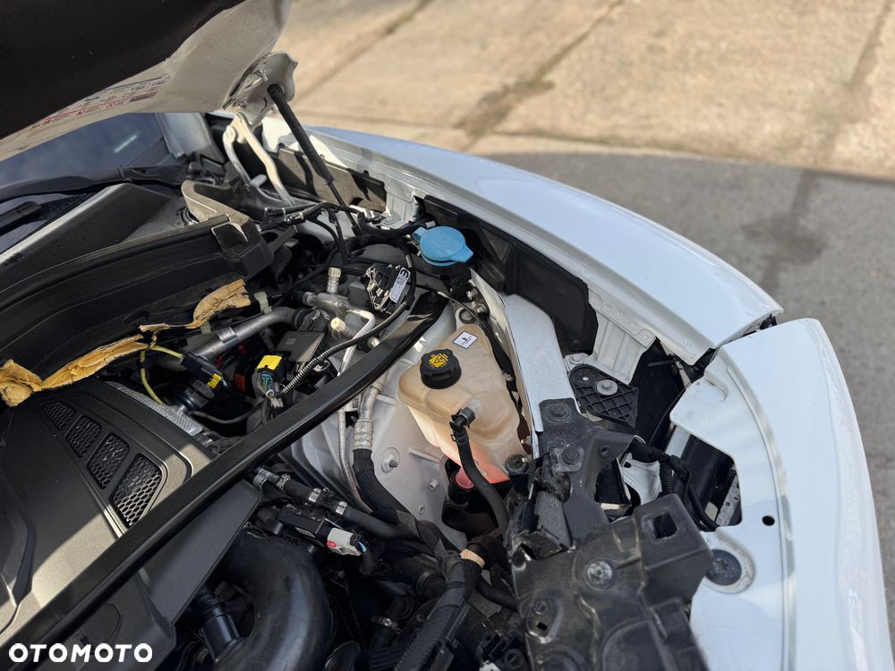 Alfa Romeo Stelvio 2.0 Turbo Veloce Q4 - 12