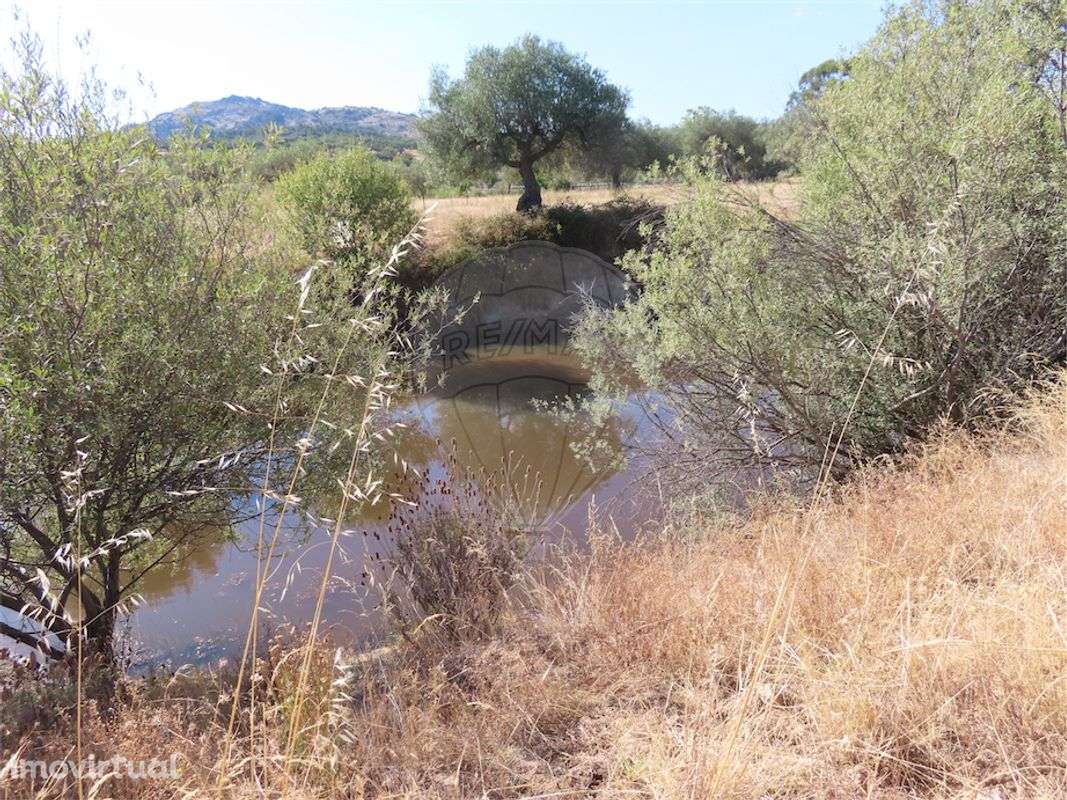 Quinta  para venda - Grande imagem: 4/30