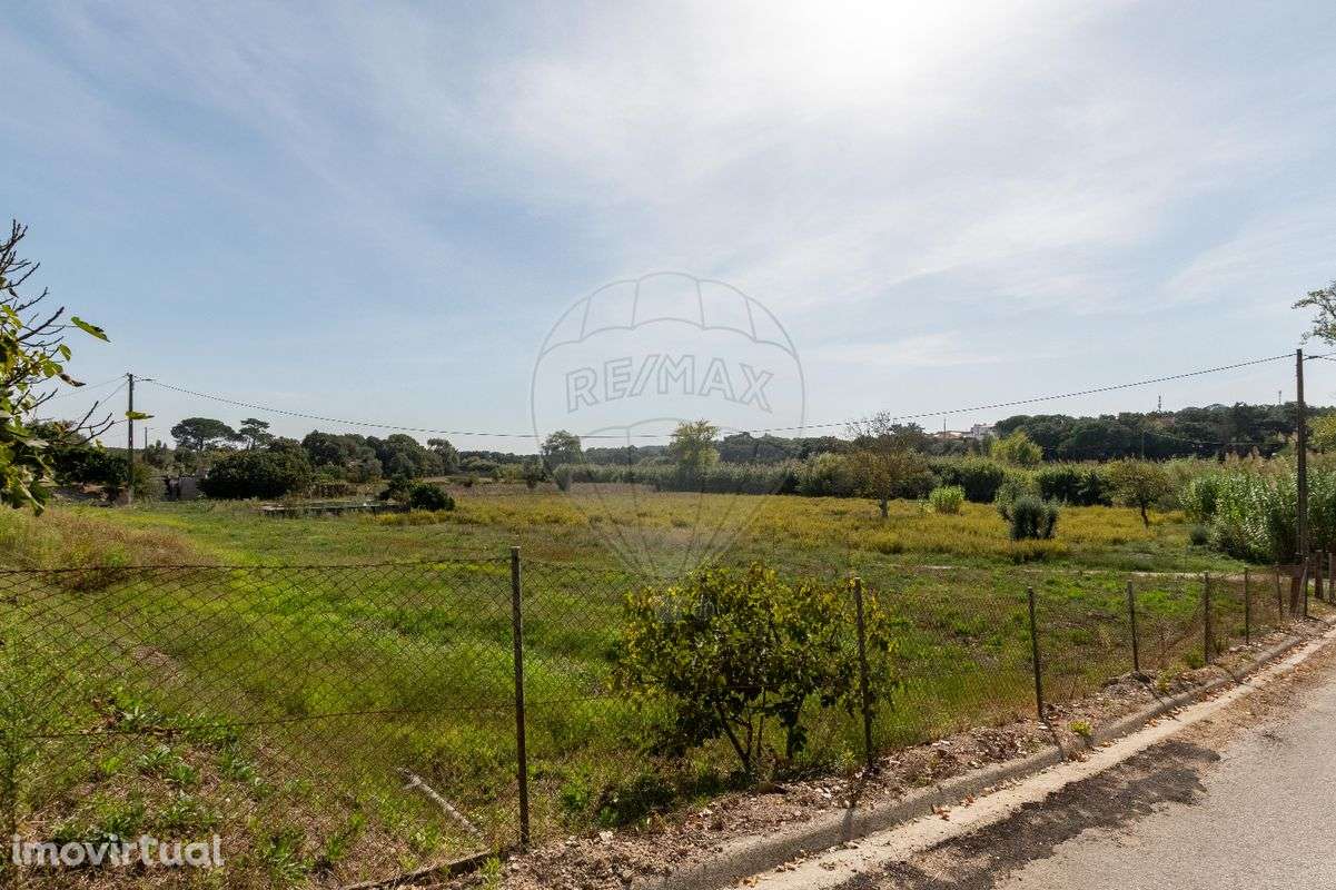 Quinta T3 para venda - Grande imagem: 4/50