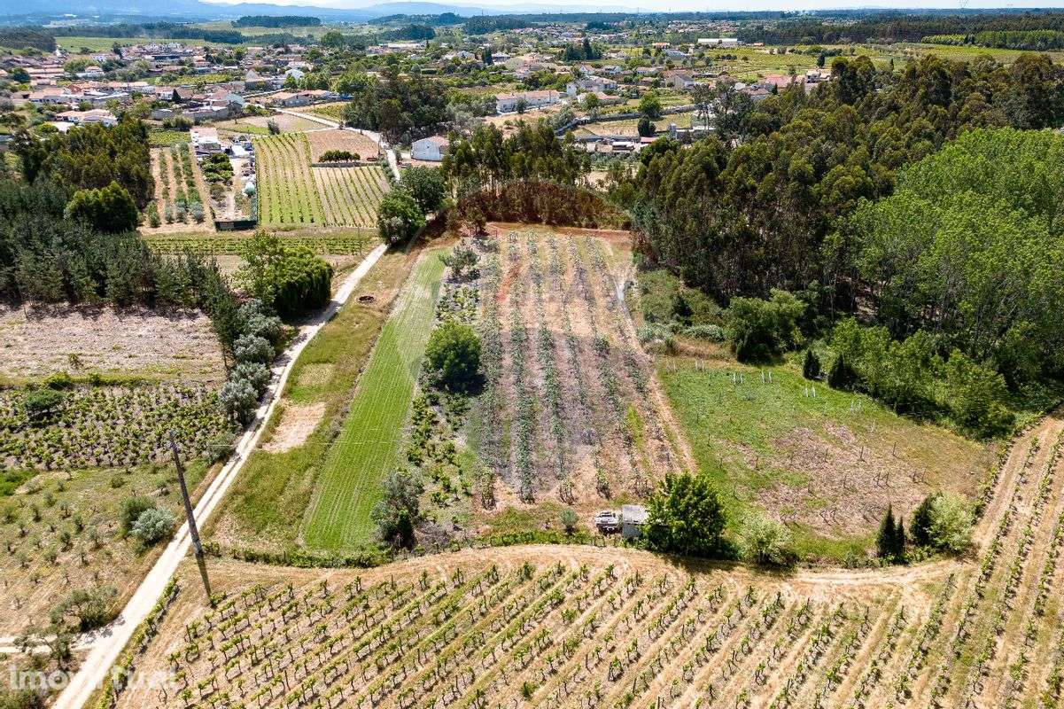 Terreno  para venda - Grande imagem: 2/18