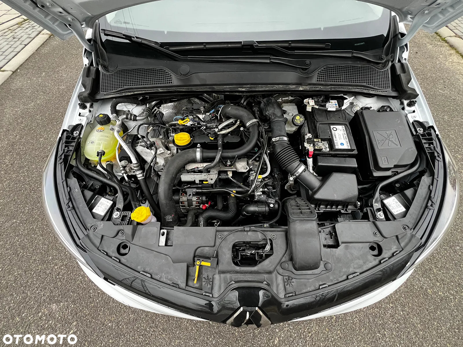 Renault Clio TCe 90 X-tronic INTENS - 10