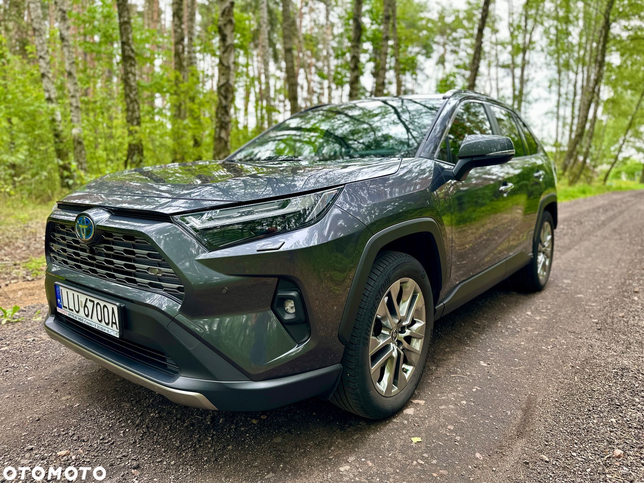 Toyota RAV4 2.5 Hybrid Executive 4x2 - 1