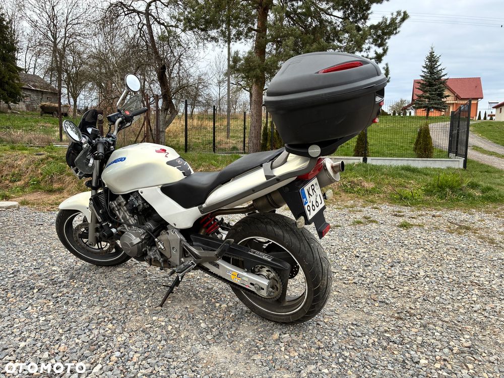 Honda Hornet - 8
