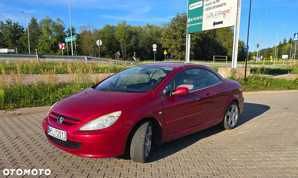 Peugeot 307 2.0 Sporty - 22