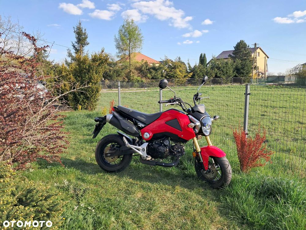 Honda MSX125 - 5