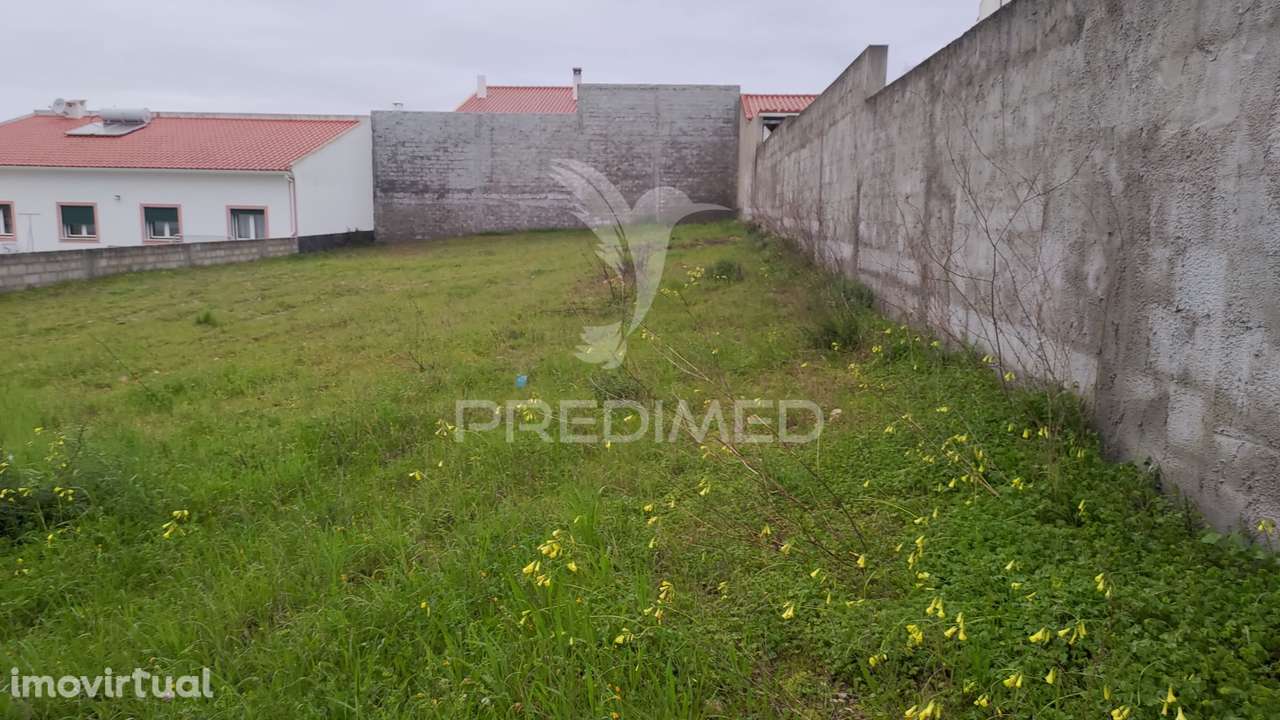 Terreno Urbano 502,50 m2 - Carregueira - Chamusca - Grande imagem: 5/22