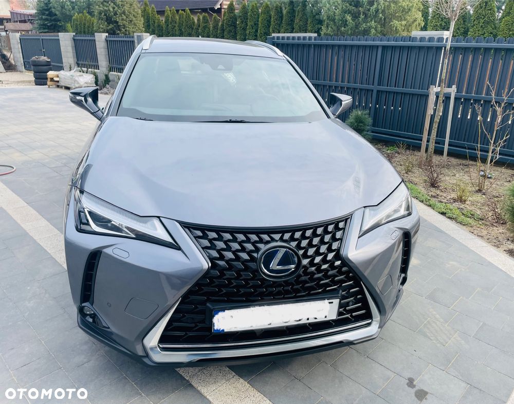 Lexus UX 250h GPF Elegance AWD - 2