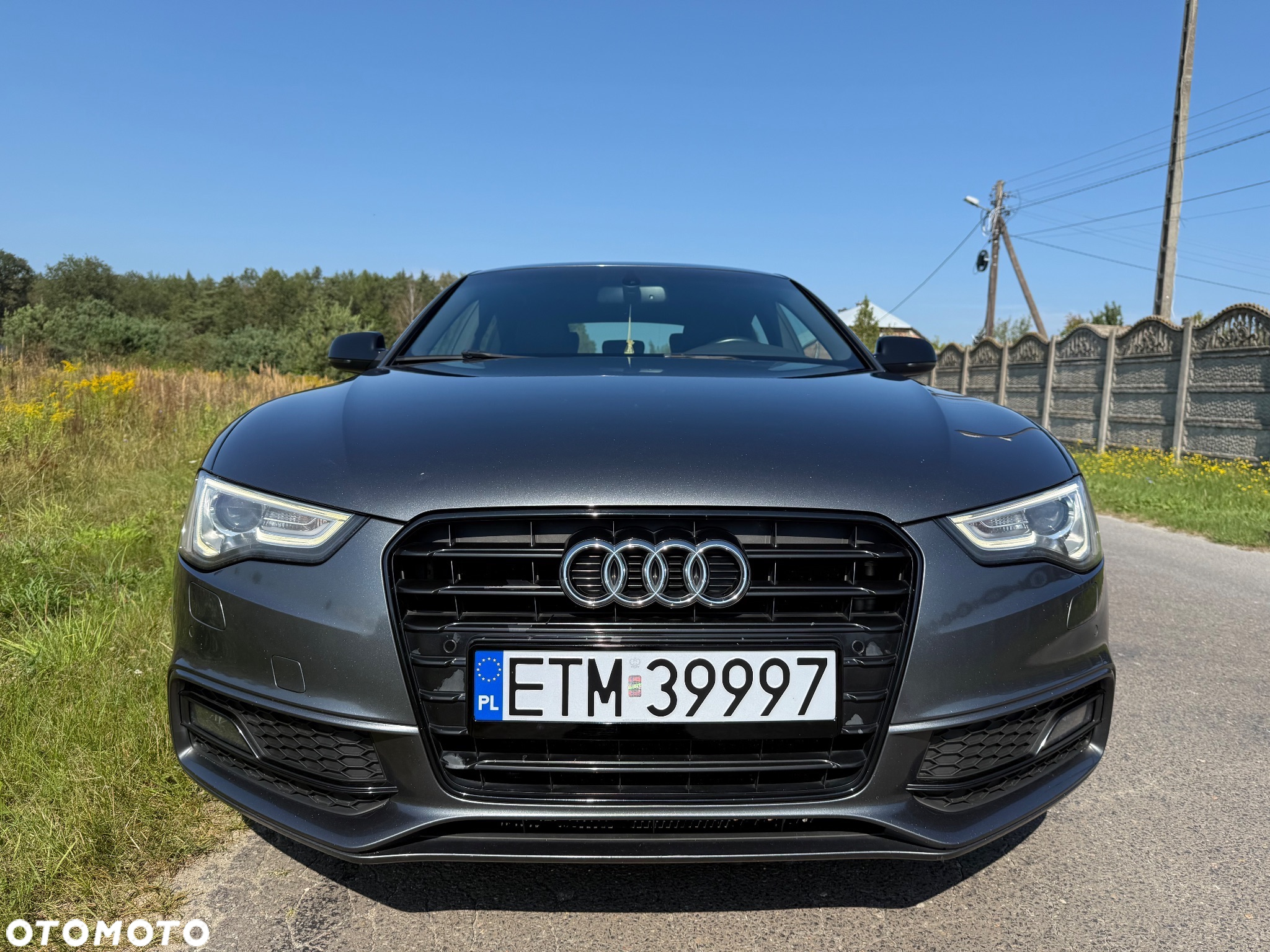 Audi A5 Sportback 2.0 TDI (clean diesel) DPF multitronic - 12