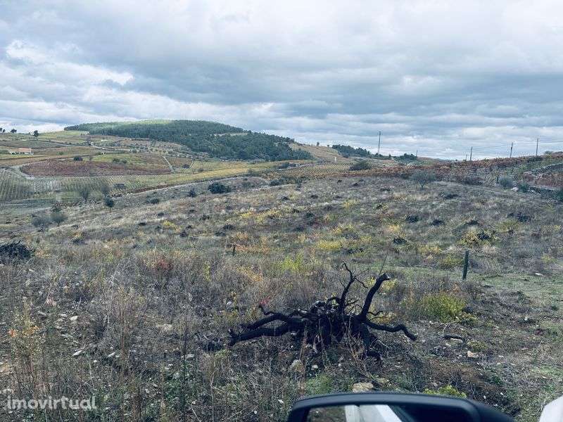 Terreno rústico urbanizável - Grande imagem: 3/9