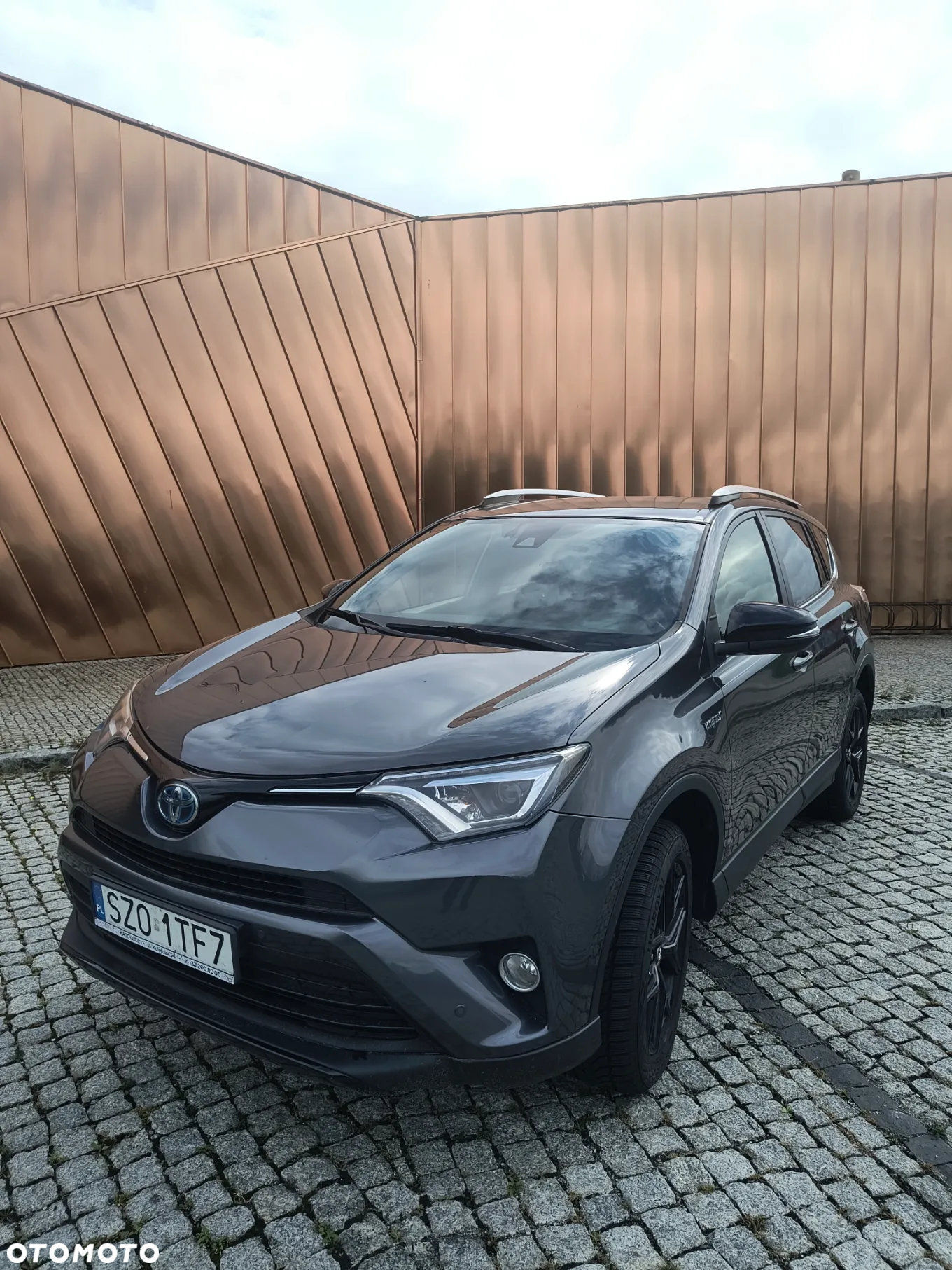 Toyota RAV4 Hybrid Prestige 4x2 - 9