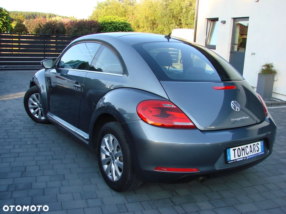 Volkswagen Beetle - 10