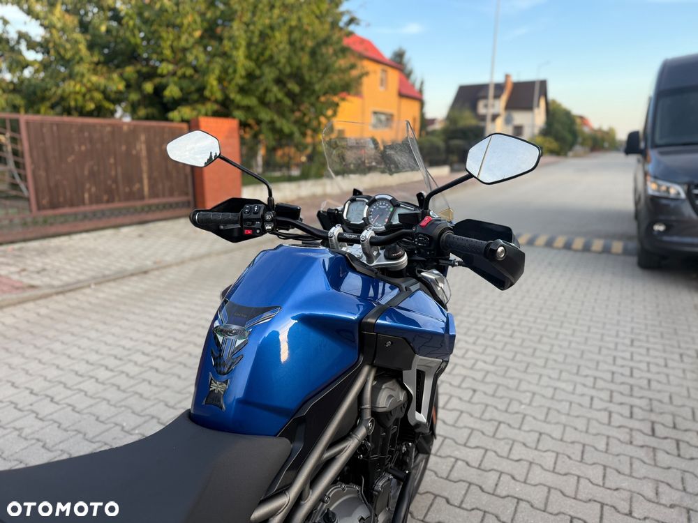 Triumph Tiger - 11