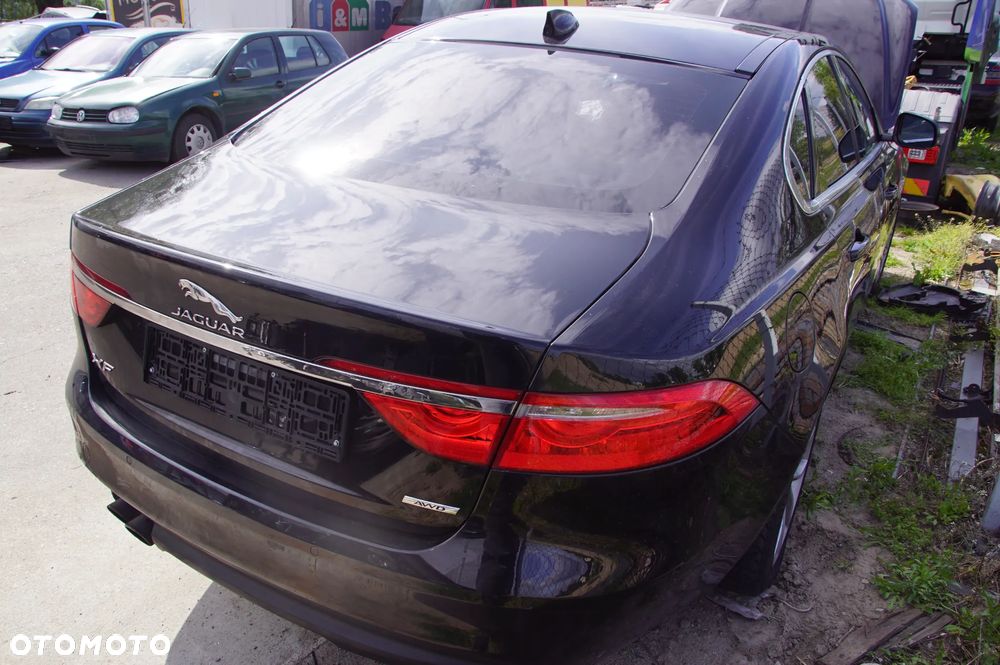 Auto na części 692106889 Jaguar XF X260 2017 2.0 d aj200 204DTA 180 km skrzynia ZF 8HP45 Santorini Black drzwi prawe błotnik lampa grill silnik skrzynia biegów klapa fotele lampy dpf  szyba lusterko deska wybierak pokrętło selektor skup aut - 33