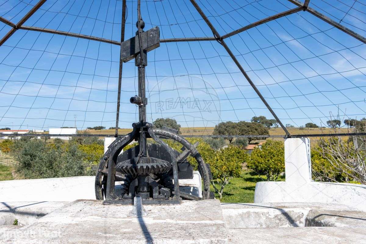 Quinta T7 para venda - Grande imagem: 5/37