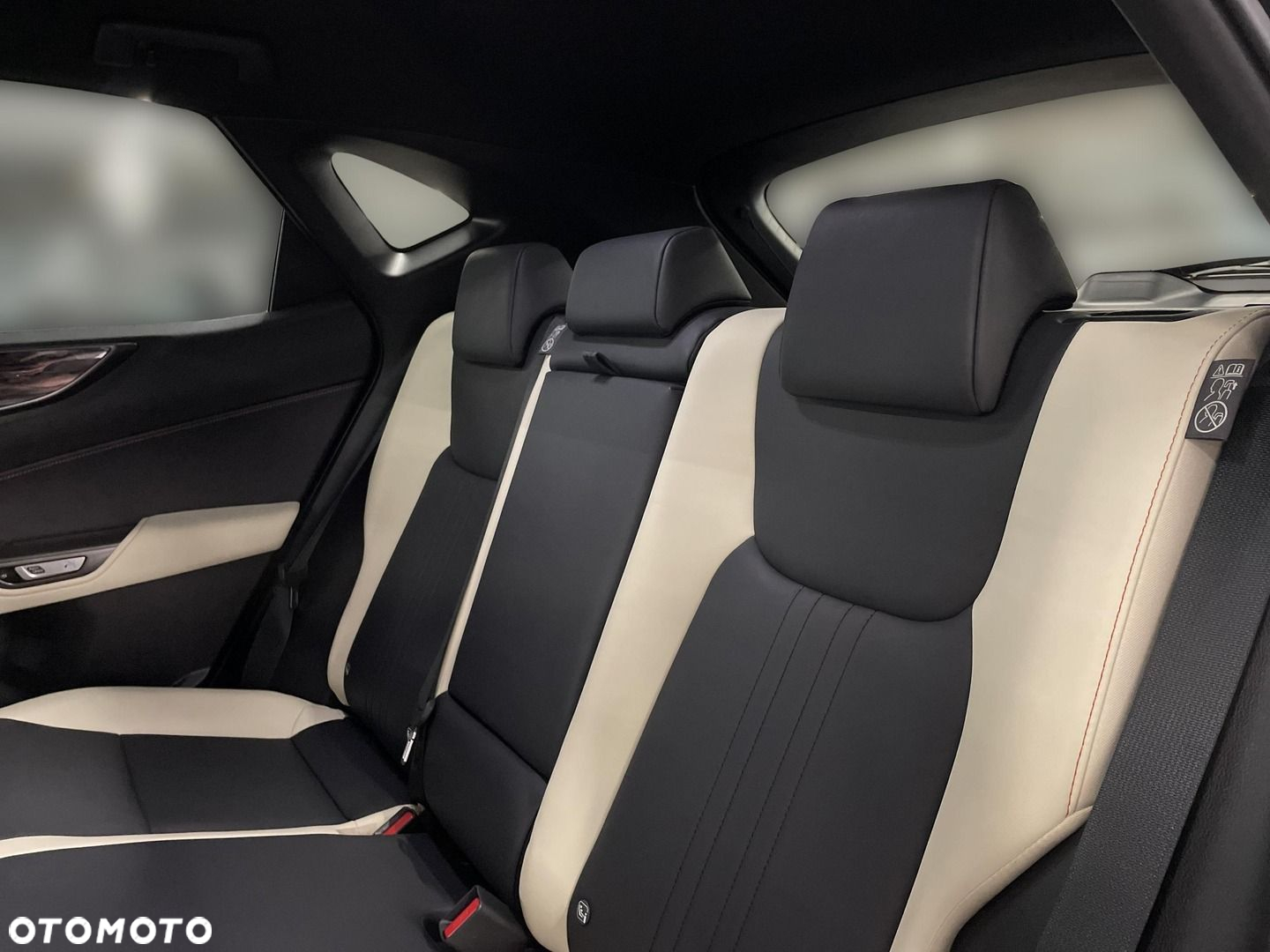 Lexus NX - 15