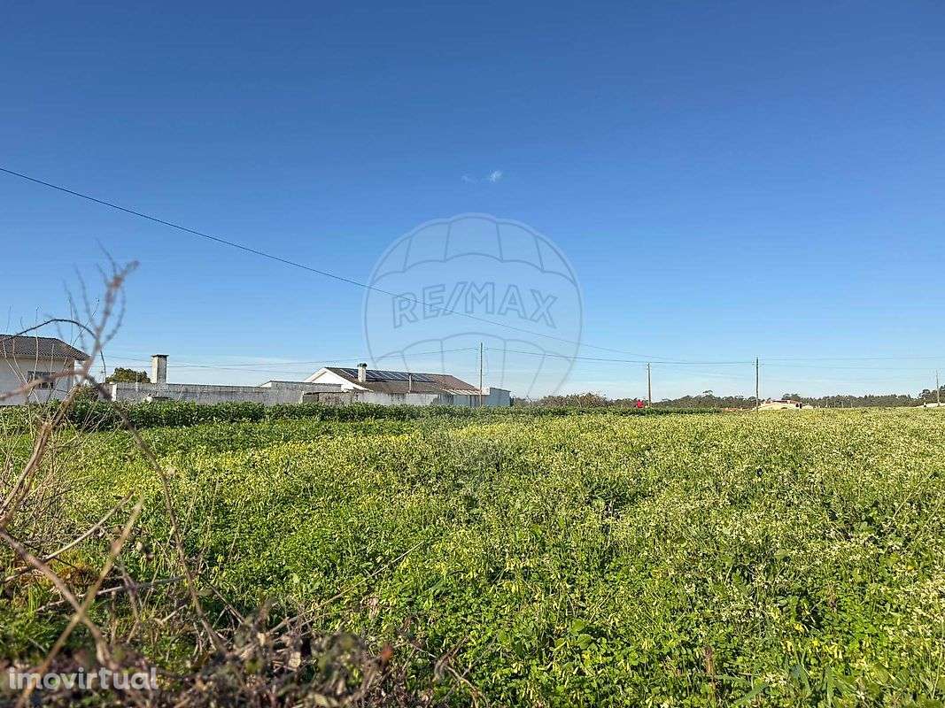 Terreno  para venda - Grande imagem: 4/7