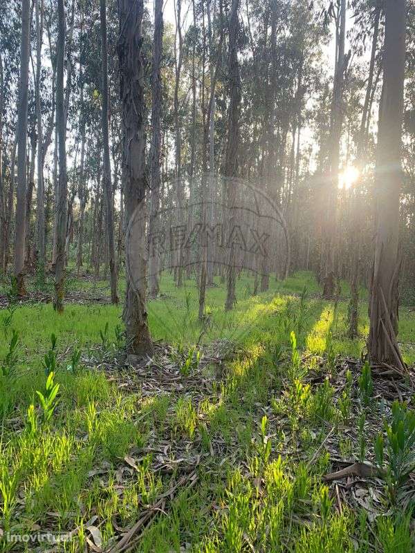 Terreno  para venda - Grande imagem: 2/4