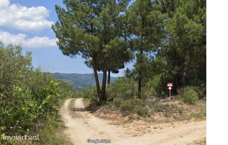 Terreno Agrícola com Vinha Registada, Casa de Apoio e Água - Grande imagem: 2/4
