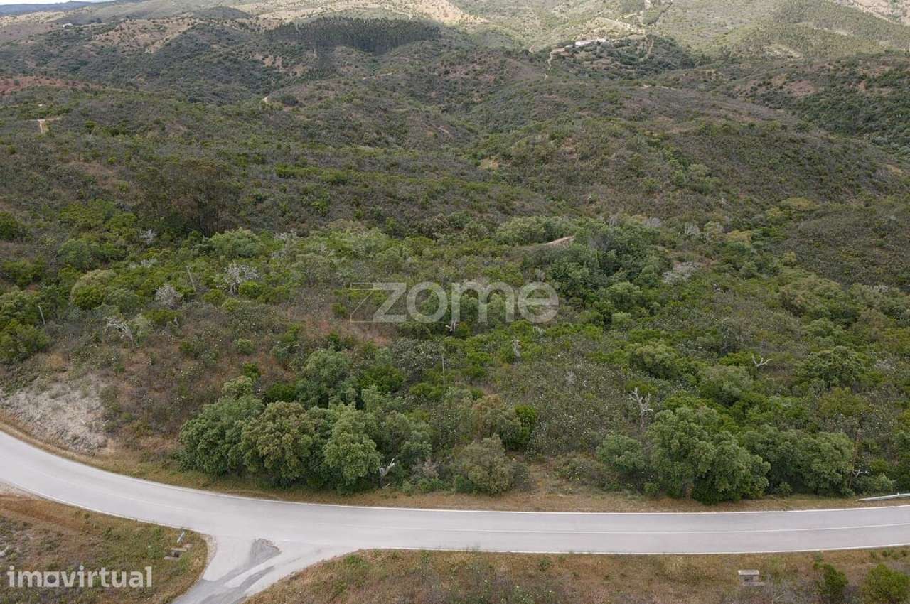 Terreno Rústico com 11.000m2 em Monte Velho, São Barnabé - Grande imagem: 5/10