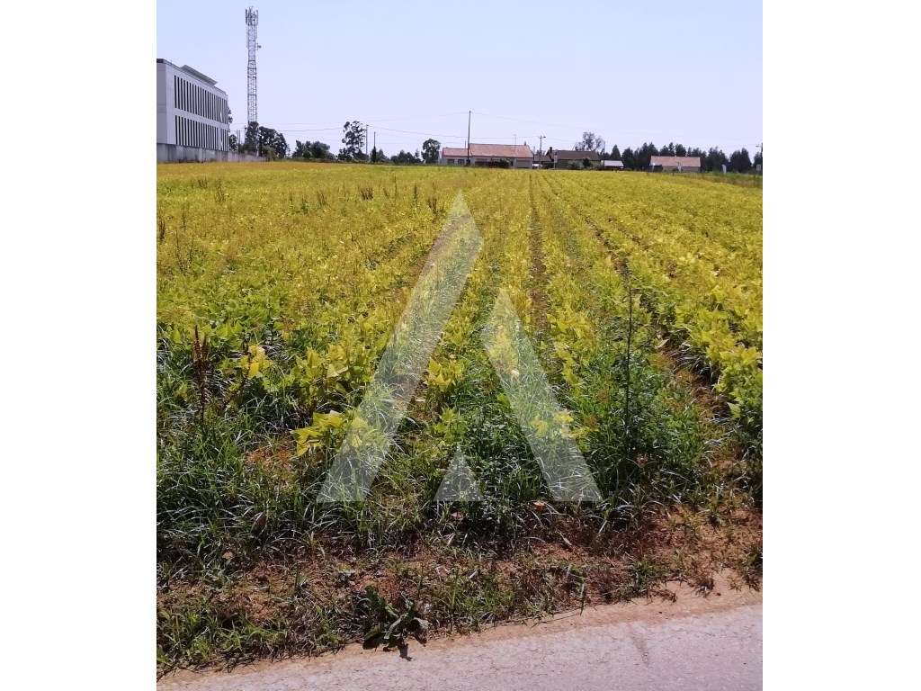 Terreno com mais de 2.200 m2 com 2 Frentes para construção junto ao... - Grande imagem: 4/4