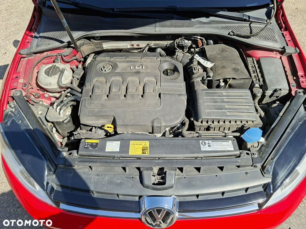 Volkswagen Golf 1.6 TDI BlueMotion Technology Allstar - 30