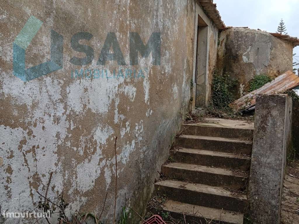 Casa antiga com quintal - Grande imagem: 2/13