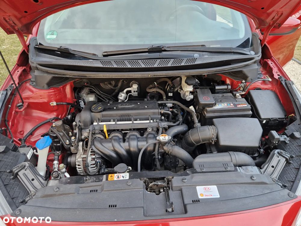 Kia Ceed 1.4 CVVT Fifa World Cup Edition - 31