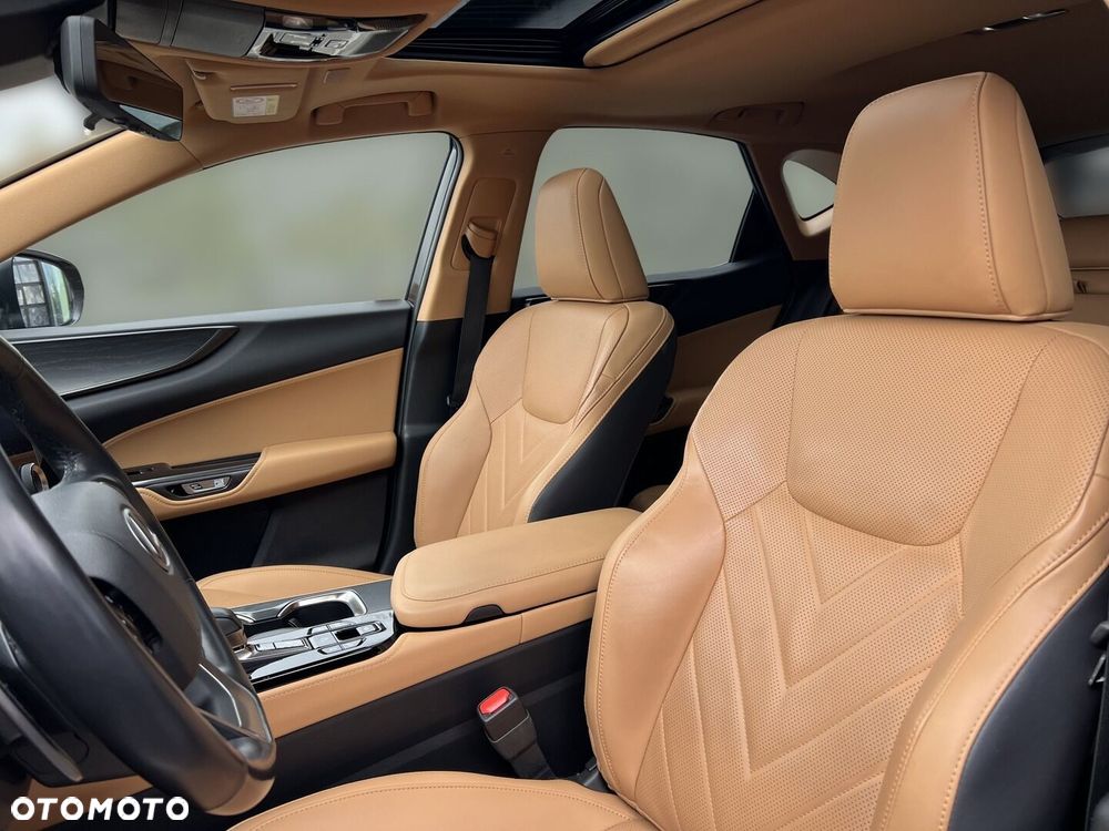 Lexus NX - 10