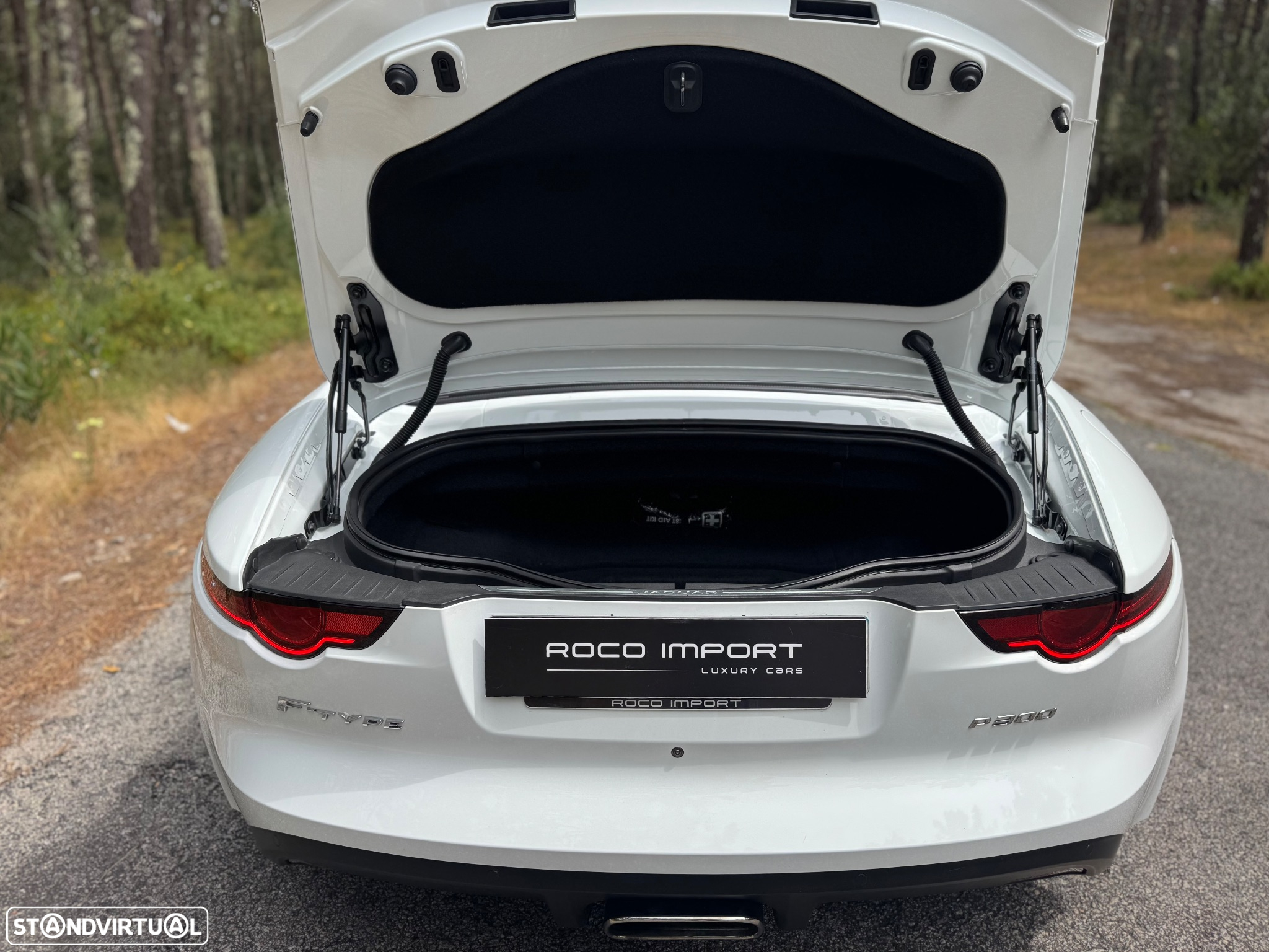 Jaguar F-Type Cabriolet P300 Aut. First Edition - 34