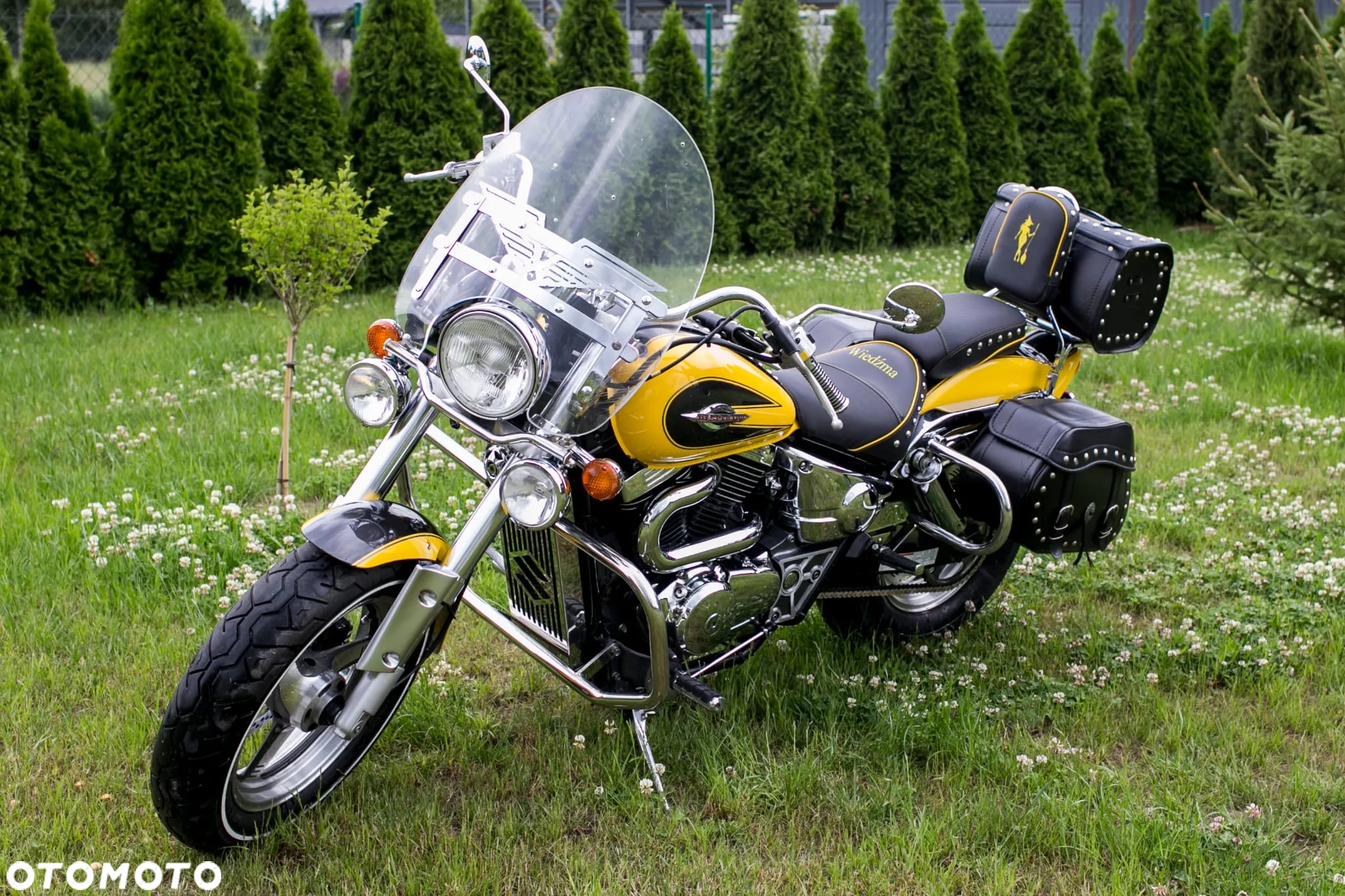 Suzuki VZ - 3