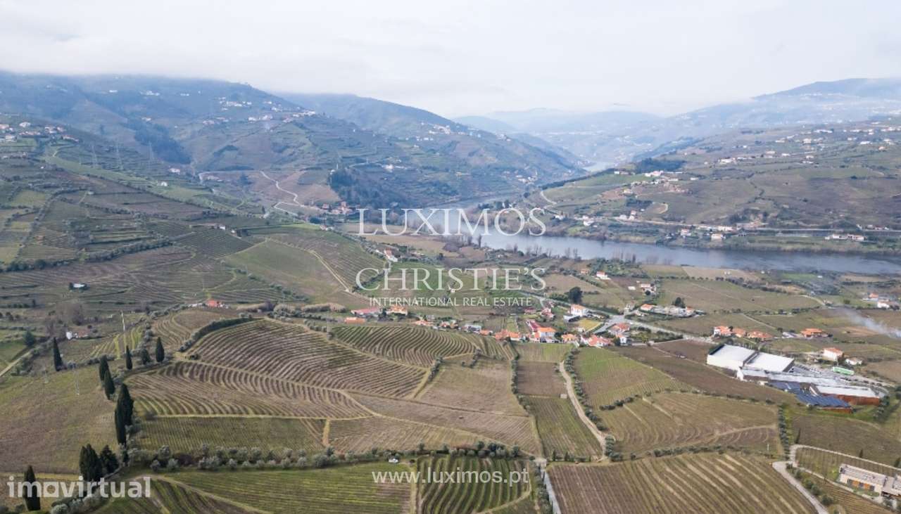 Quinta vinícola à venda no Alto Douro Vinhateiro, Douro Valley - Grande imagem: 4/21