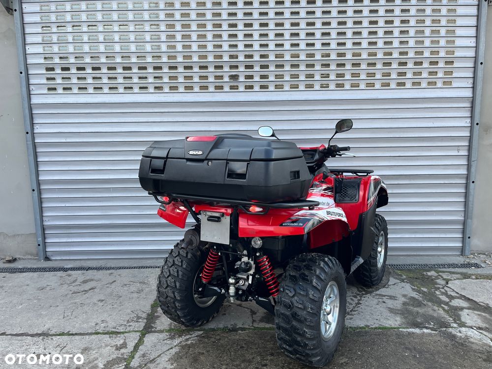 Kawasaki Brute Force - 7