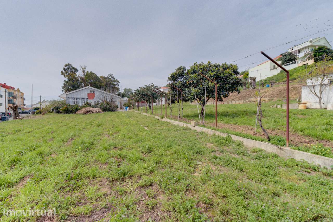 Terreno no Sobralinho - Grande imagem: 4/6