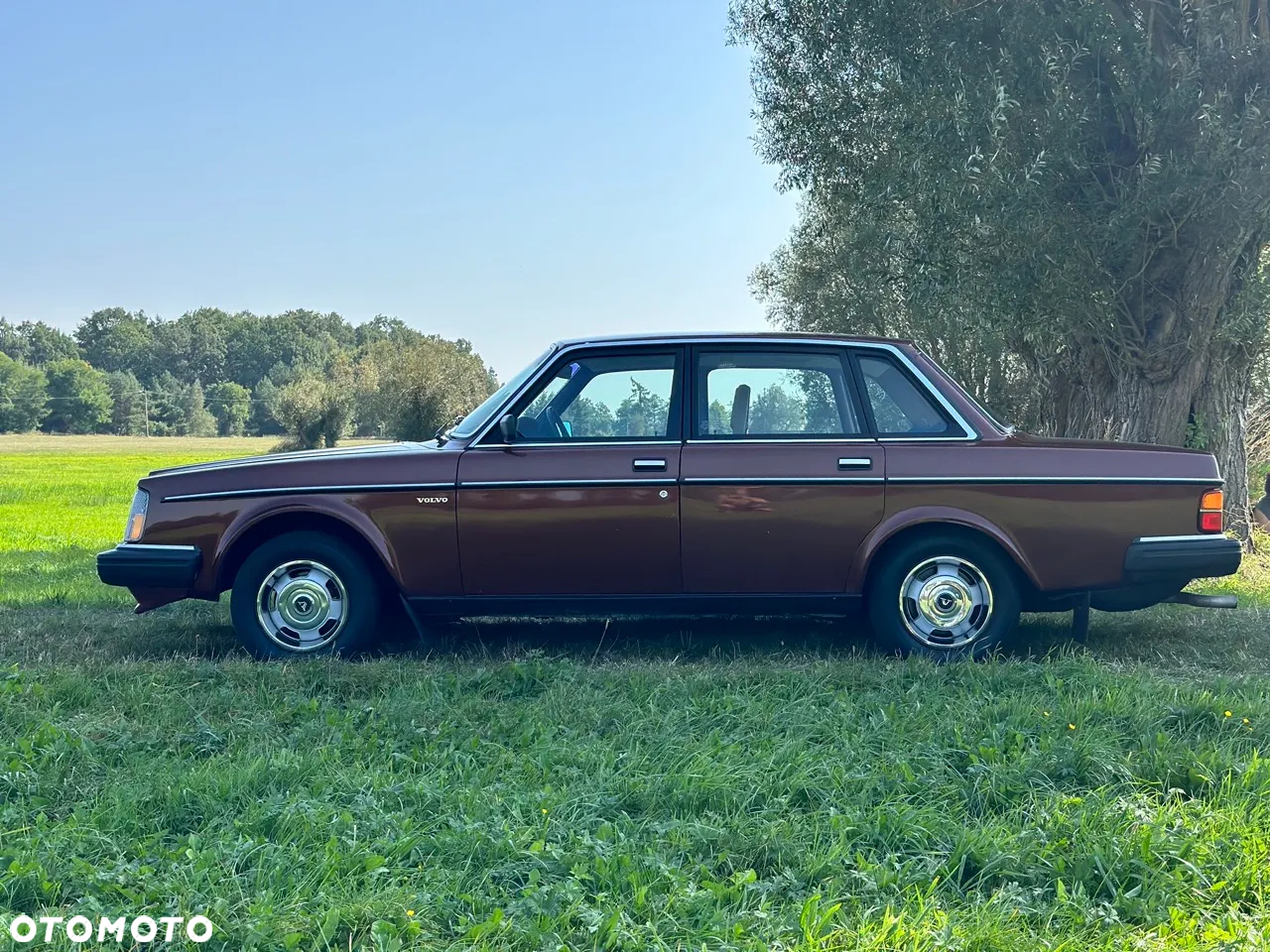 Volvo Seria 200 - 12