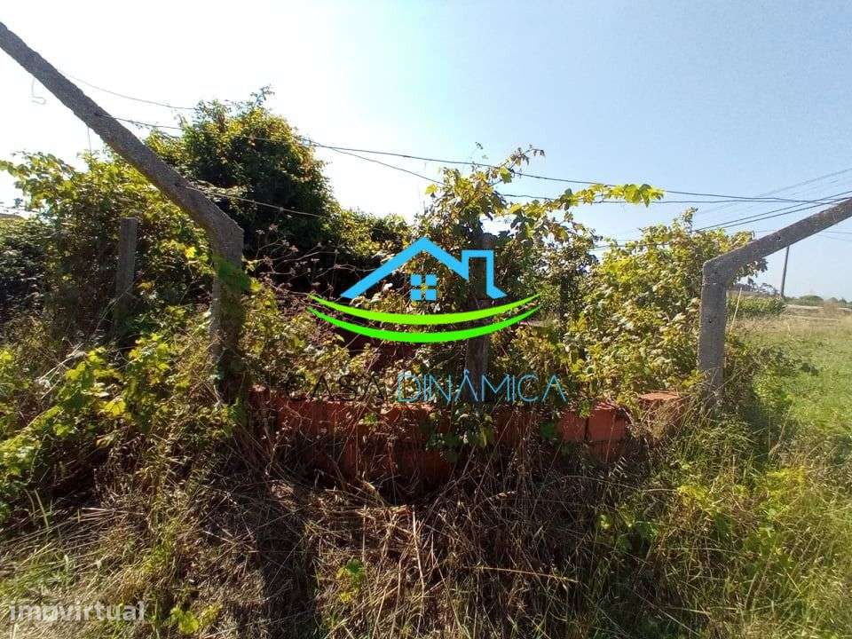 Terreno com Poço em Arazede – Coimbra - Grande imagem: 3/7