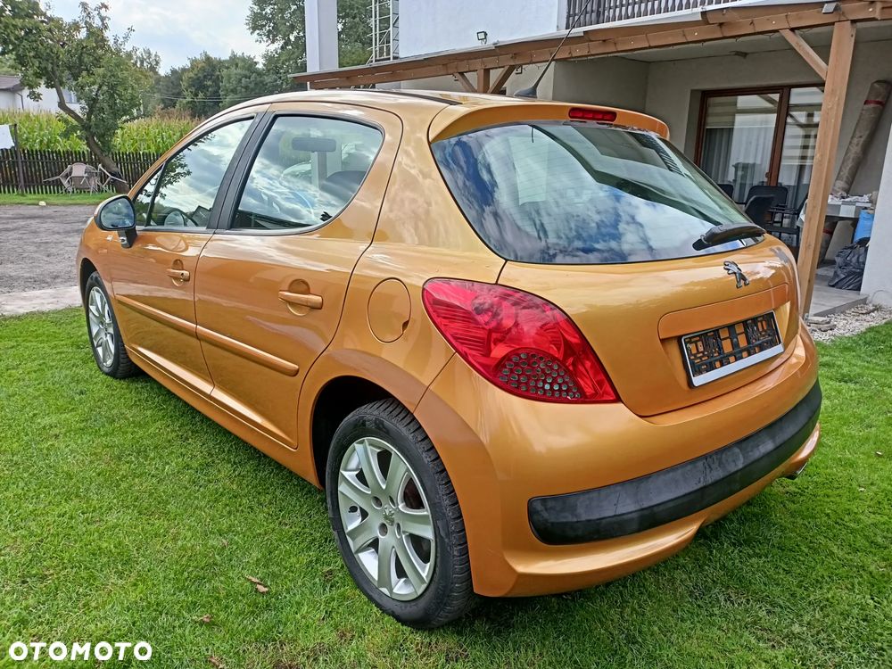 Peugeot 207 - 14