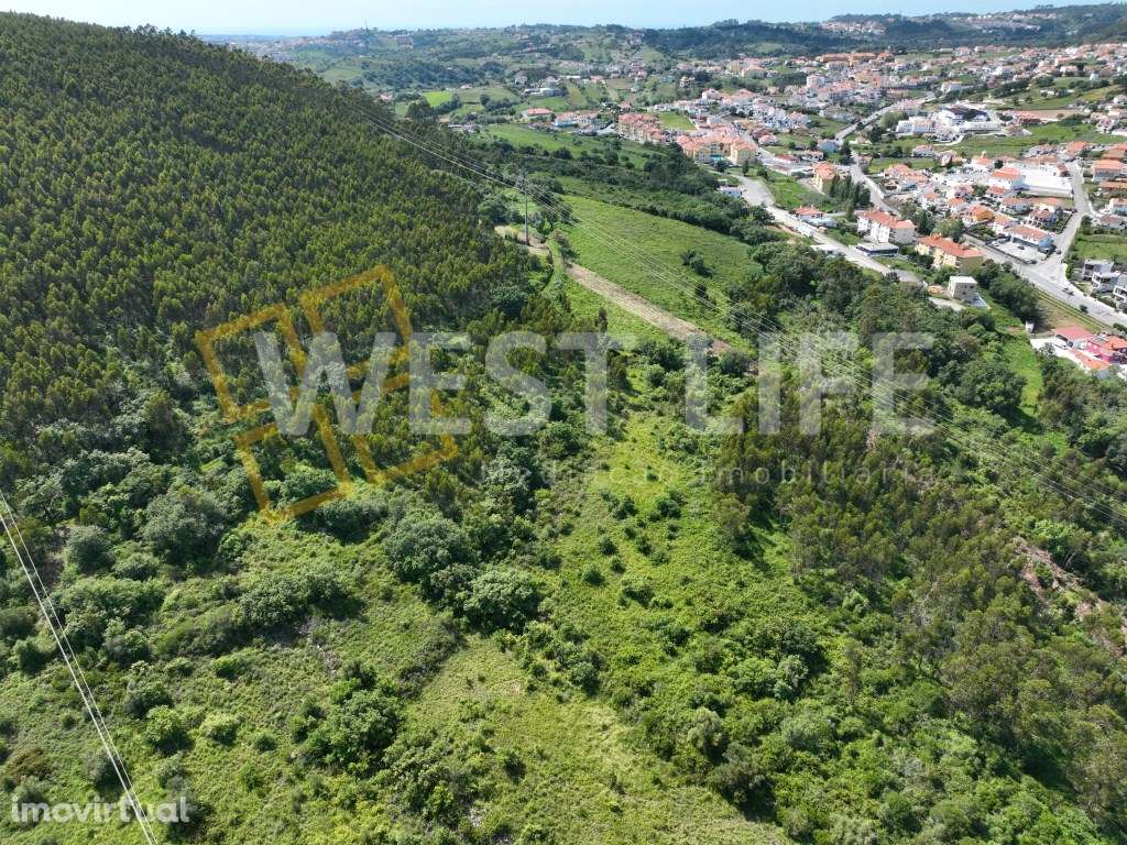 Terreno Rústico com 10937m2 - EXCLUSIVO WL - Ótima exposição solar ... - Grande imagem: 4/15