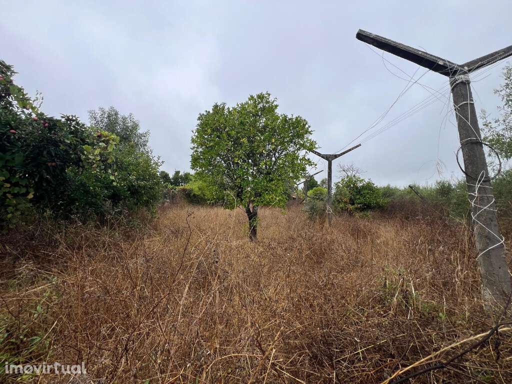 Terreno rústico em zona de São Martinho do Bispo - Grande imagem: 3/3