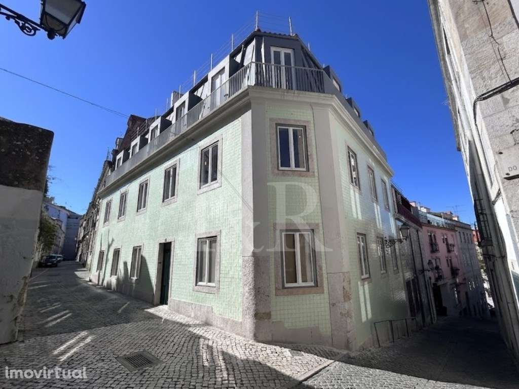 Mt Premier Laurel Príncipe Real - Grande imagem: 1/19