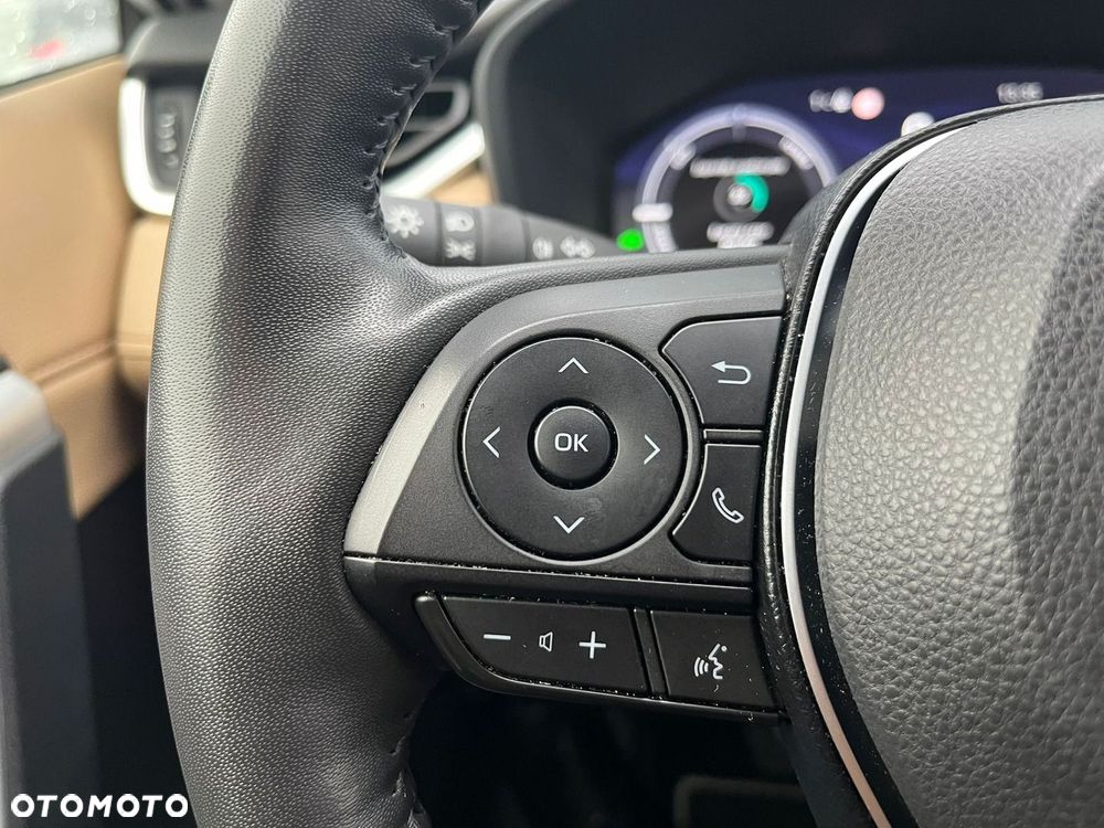 Toyota RAV4 2.5 Hybrid Executive 4x4 - 22