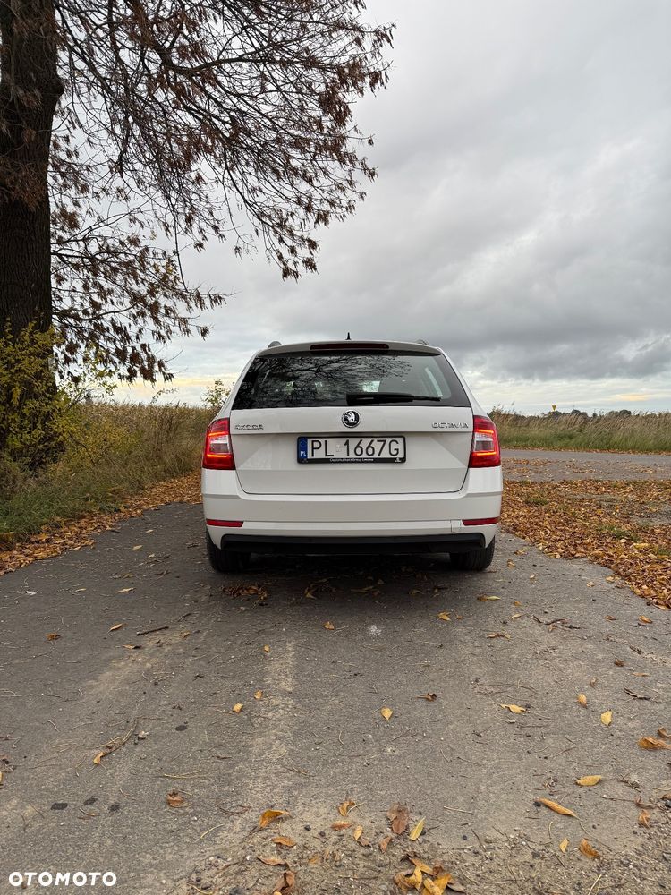 Skoda Octavia 1.6 TDI Ambition - 5