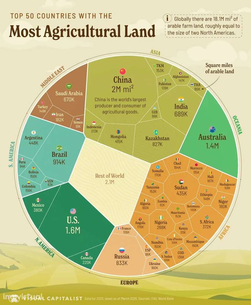 SweetPotatoeMushroomSeawedTableGrapeAloeVeraAcerolaHoneySproutsMoringa - Grande imagem: 3/60